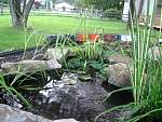 bushkillnorthern072306054.jpg